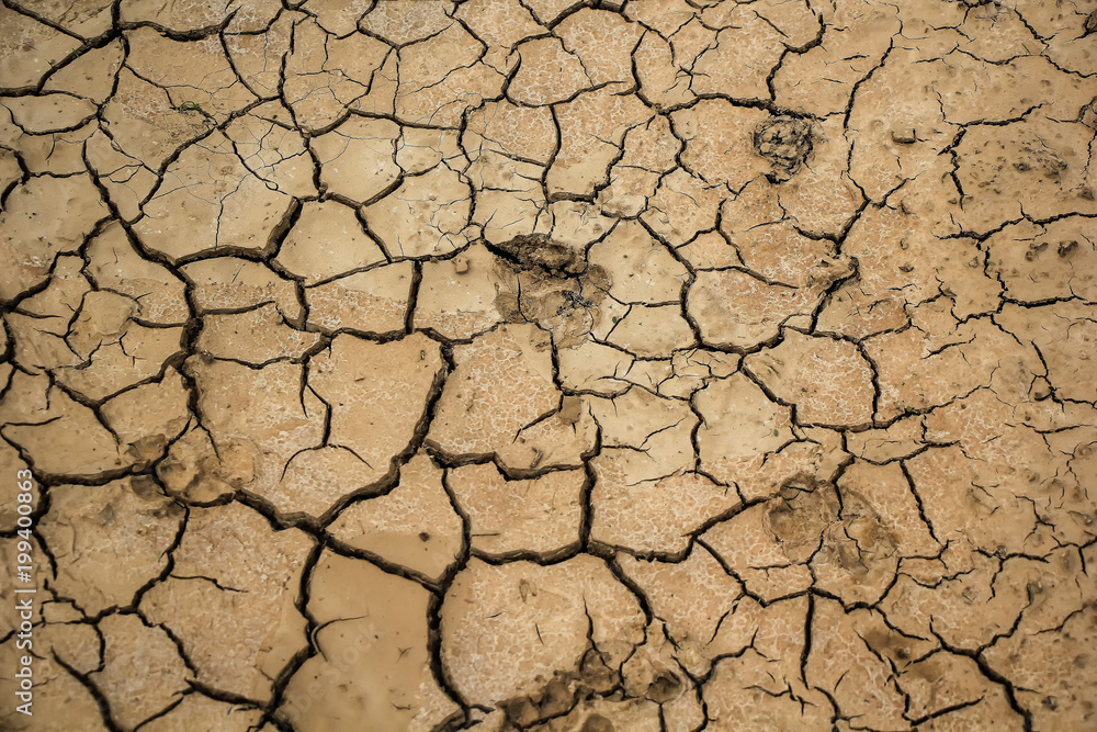 arid soil. arid soil.