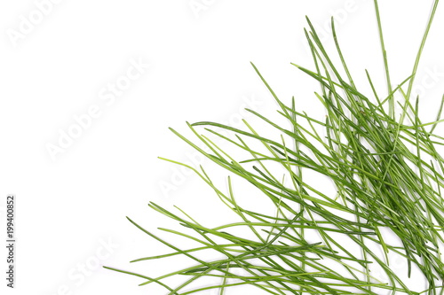 Green grass isolated on white background and texture