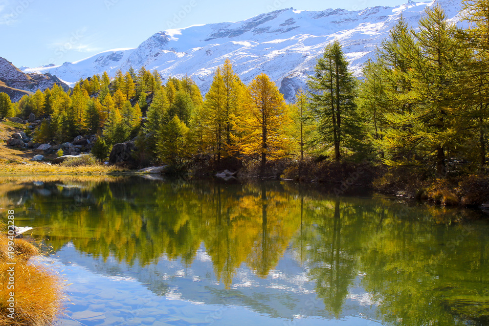 Colorful trees in autumn at Grindjisee Lake, Zermatt with Alps snow mountains at the background, Switzerland