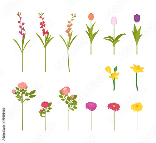 Flowers in blossom set