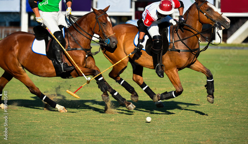 Polo horse players battle in game. © Hola53