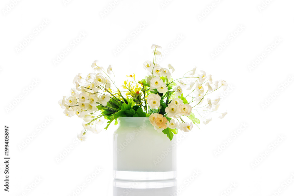 Trees, Flowers in pots on white background