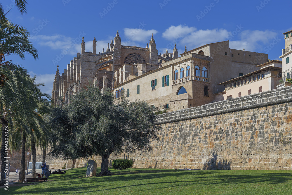 side view of the main Cathedral of the Balearic Islands with lawn and palm trees in the foreground