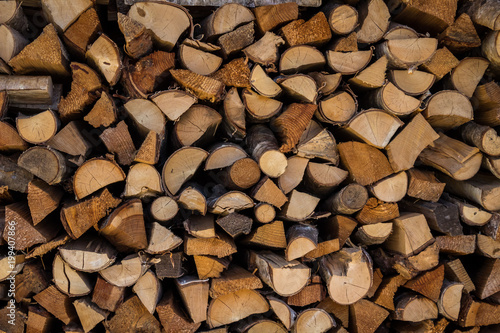 Holz - Texture