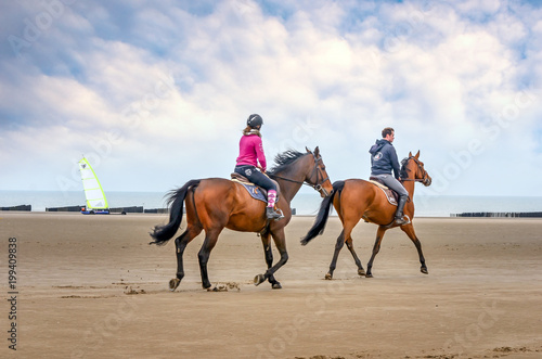 chevaux et chars à voile sur la plage © Image'in
