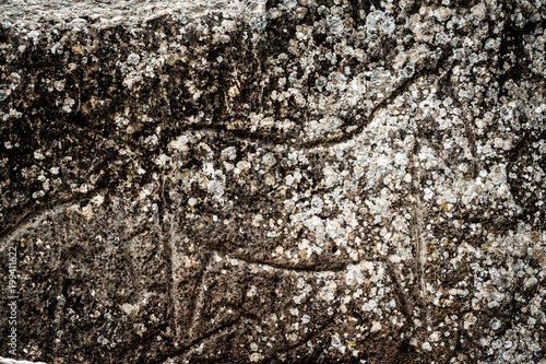 Rock carvings (petroglyphs) of hourses and people in Gobustan National Park. Exposition of Petroglyphs in Gobustan near Baku, Azerbaijan. photo