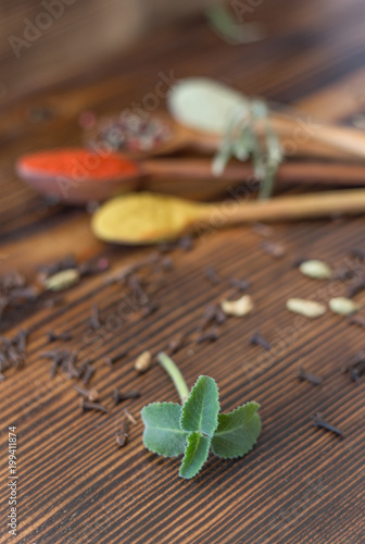 Mint and various spices on a wooden table