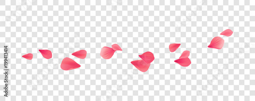 Petals Roses Flowers. Pink Red Sakura flying petals isolated on transparent background. Vector