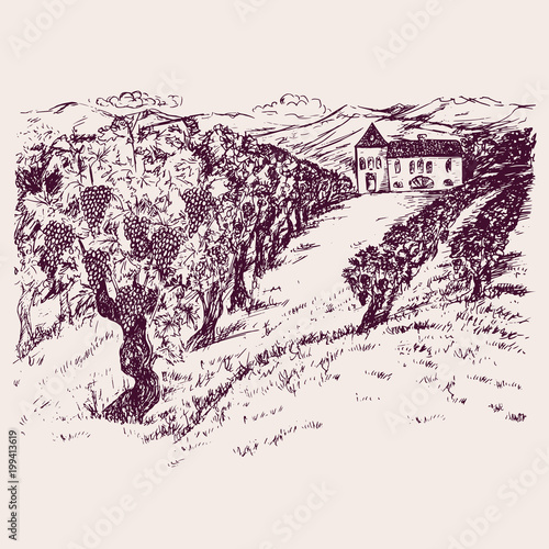 Small chateau with vineyard on mountain hills, hand drawn doodle, drawing suitable for wine label design, sketch in pop art style, black and white vector illustration