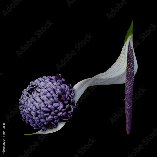 Close up of flower shoe
