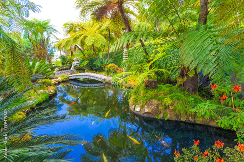 Japanese tropical garden with fishes on lake in Madeira island, Portugal