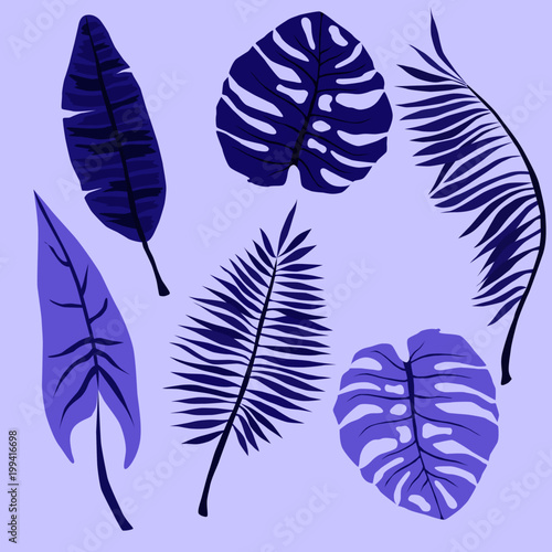 set of six tropical leaves, floral design elements, vector illustration, colorful, purple, violet, lilac 