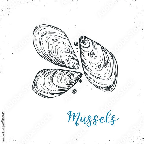 Seafood sketch icon isolated on white background. Hand drawn seafood . Vector illustration for restaurant menu designs etc.