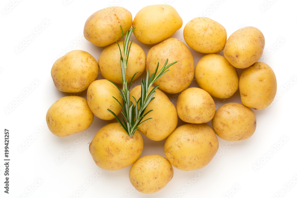 New potato and rosemarin isolated on white background close up. New potato and rosemarin isolated on white background close up.