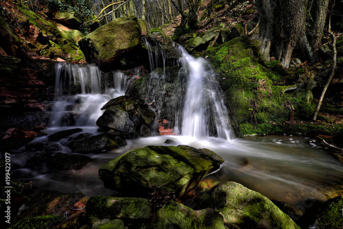 Fototapeta Naklejka Na Ścianę i Meble -  Wasserfall Wald Moos
