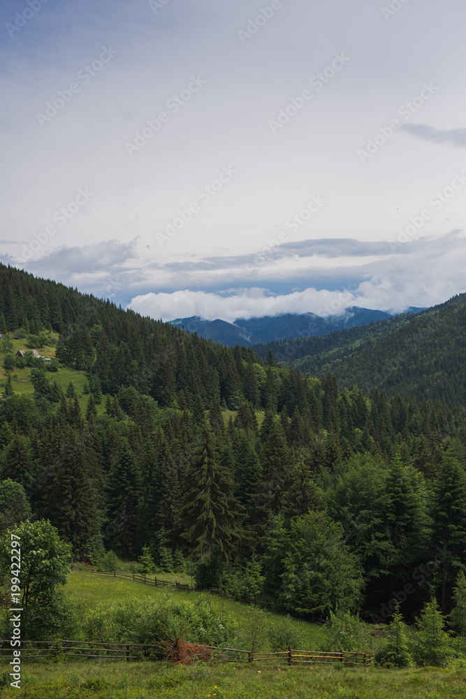 Beautiful cloudy mountain landscape. Vertical color photography.