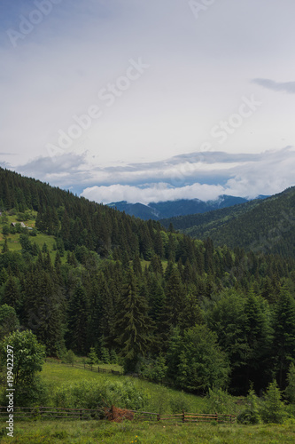Beautiful cloudy mountain landscape. Vertical color photography. © Andrii Oleksiienko