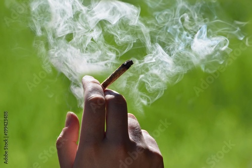 Bild auf Leinwand Marijuana joint in the hand, drugs concept