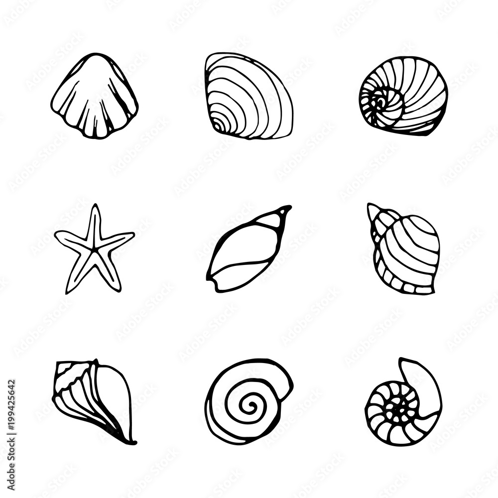 9 shell icons set in outline style. 9 shell icons set in outline style.