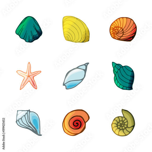 9 shell icons set in cartoon style. © Lytvynenko Anna