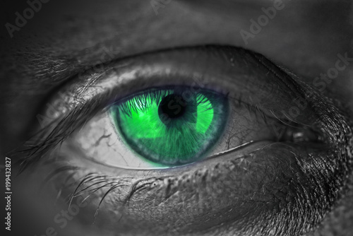 Φωτογραφία Abstract Green Eye