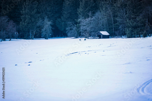 Snowy slope with little wooden shed at edge of dark forest.