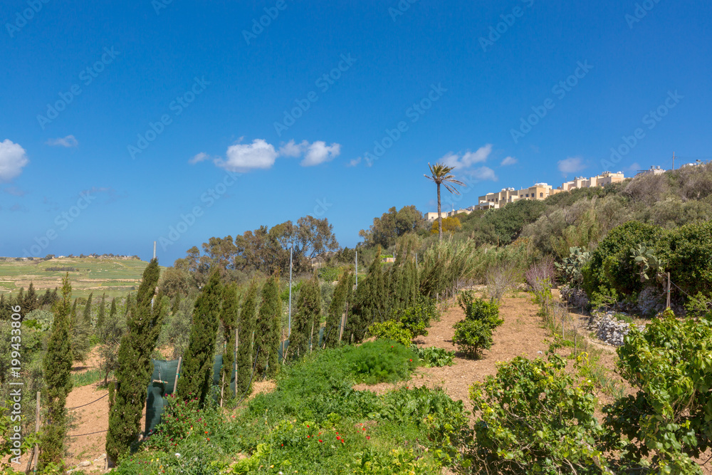 Obraz premium Views from Mtarfa