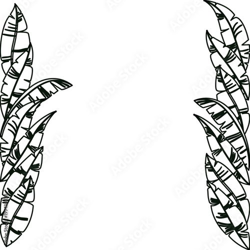 carnival feathers frame decorative