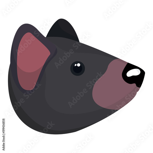 wild tasmanian devil creature head