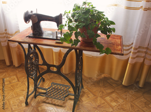 A sewing machine and a potted plant in the background of a window