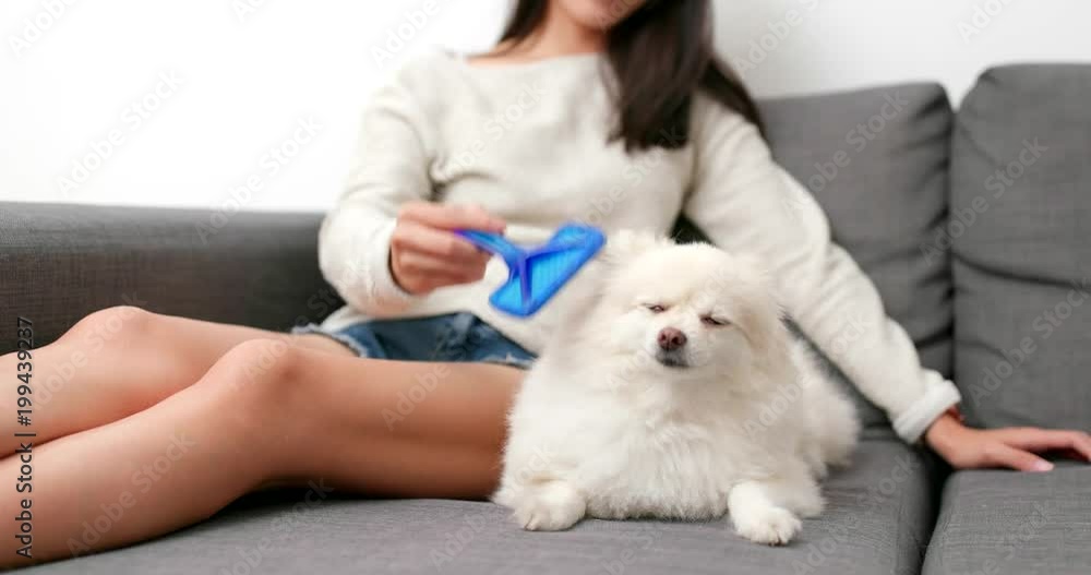Woman brushing her dog at home