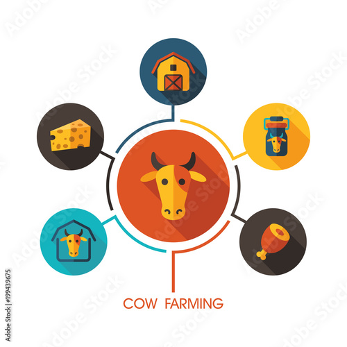 Cow farming icon and agriculture infographics