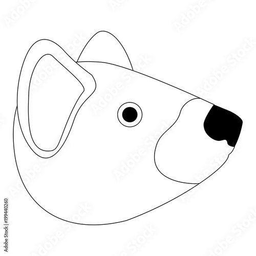 wild tasmanian devil creature head
