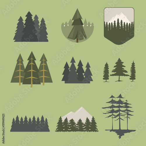 Tree outdoor travel pine silhouette coniferous natural tops pine spruce branch cedar plant leaf stem drawing vector illustration.
