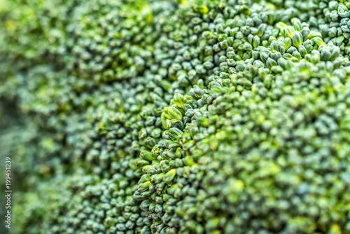 Close-up green broccoli texture