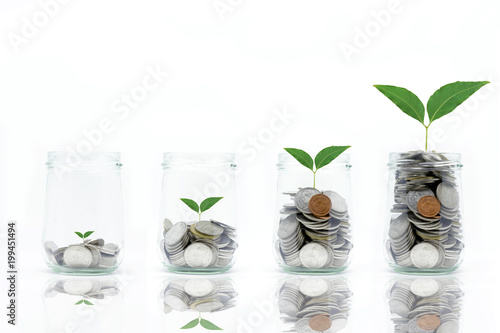 Saving money concept with coins in bottle stack and plant growing isolated on white background