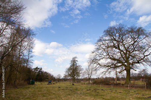 Wiesen zur Viehzucht in dörflicher Nähe mit tollen Himmel © Bernd Wolter