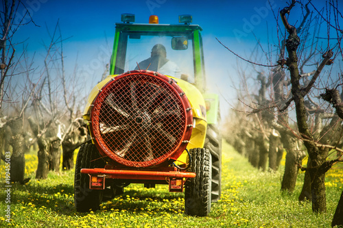 Wallpaper Mural Atomizing sprayer spraying pesticides on apple trees in the early spring. Atomizer in action spraying. Torontodigital.ca