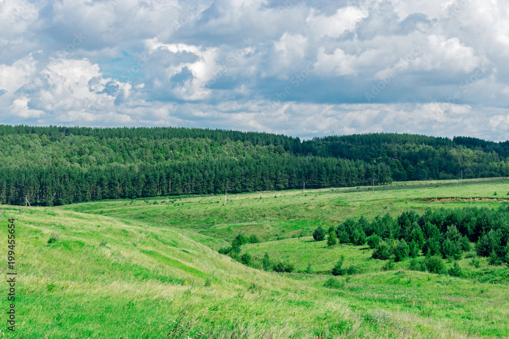 field and sky