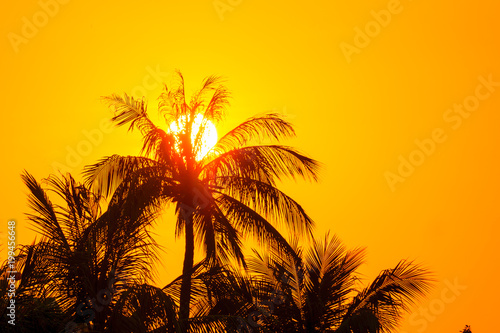 Fototapeta Naklejka Na Ścianę i Meble -  Silhouette coconut trees on beach at sunset.