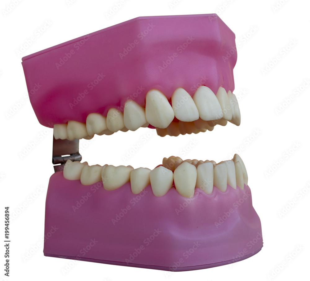 Obraz premium fack teeth 