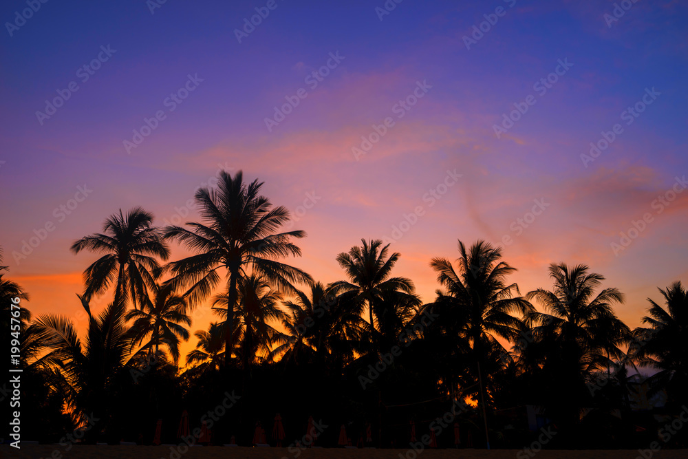 Silhouette coconut trees on beach at sunset.