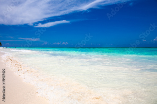 tropical beach with blue water background