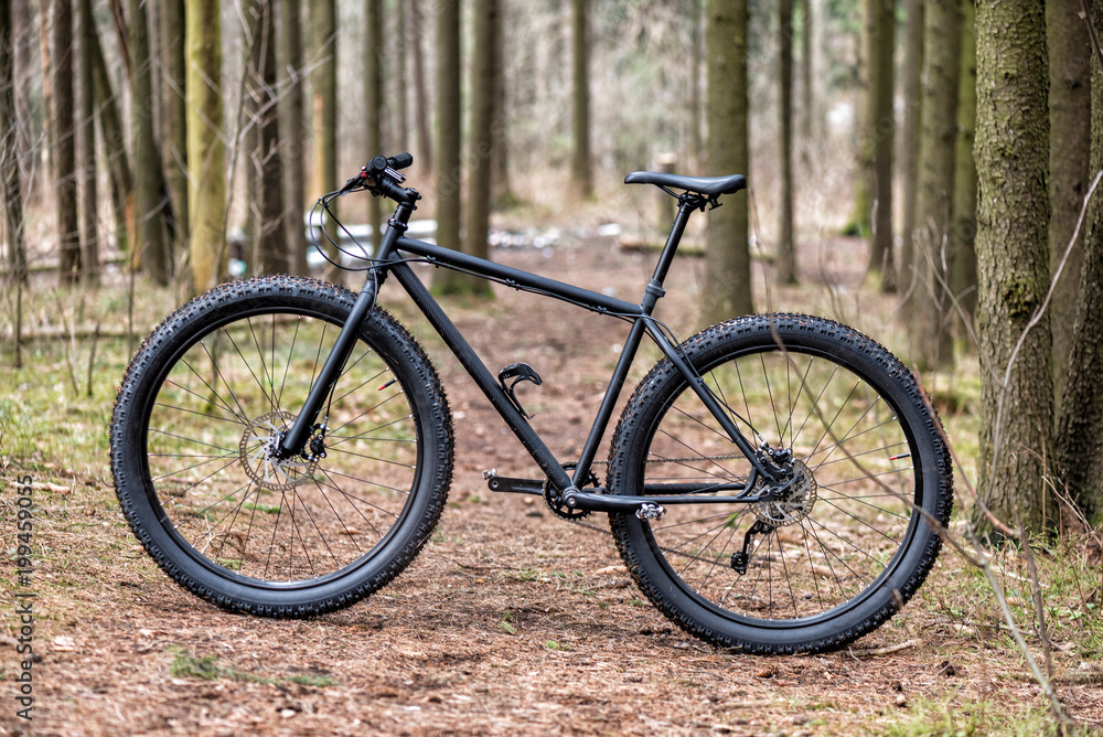 Big bicycle in the forest