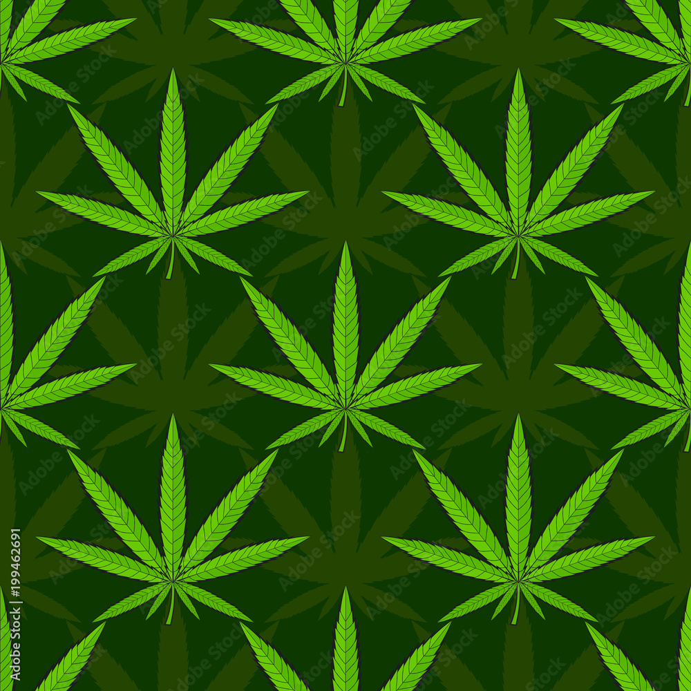 Vector Medicinal plants. Vector Medicinal plants.