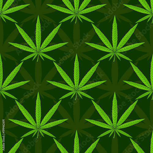 Vector Medicinal plants.
