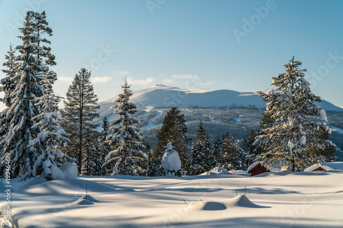 Trysilfjellet, Mountain in Norway during winter. Trysil in Hedmark, Norway photo