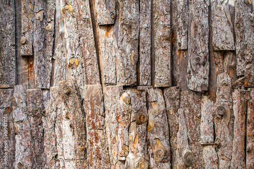 Wooden Background Texture