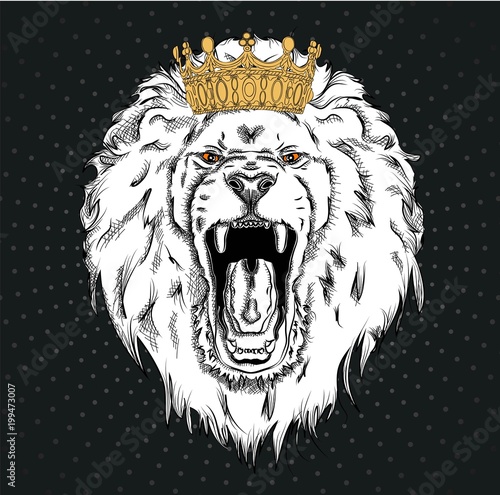 Fototapeta Naklejka Na Ścianę i Meble -  Portrait of a lion. Can be used for printing on T-shirts, flyers and stuff. Vector illustration
