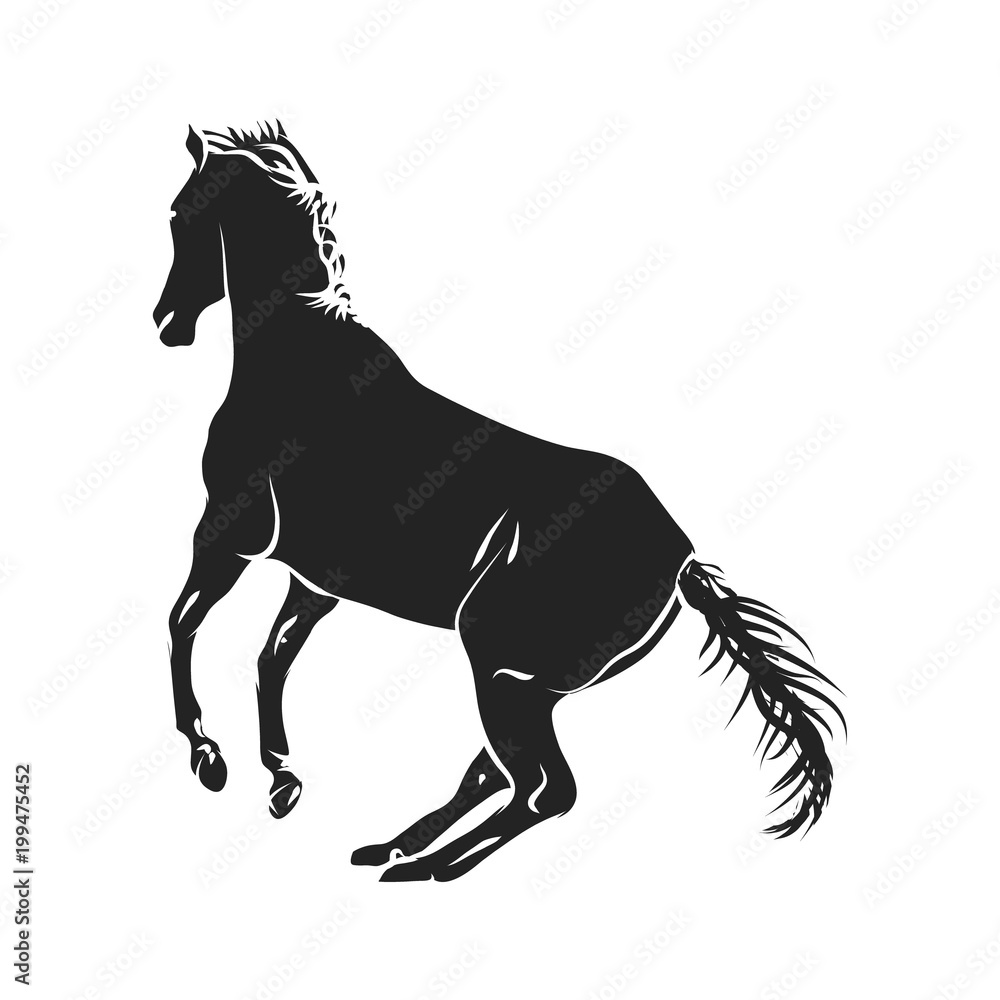 horse silhouette monochrome